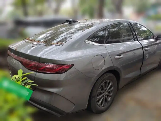 BYD Qin L — Фото автомобиля 4
