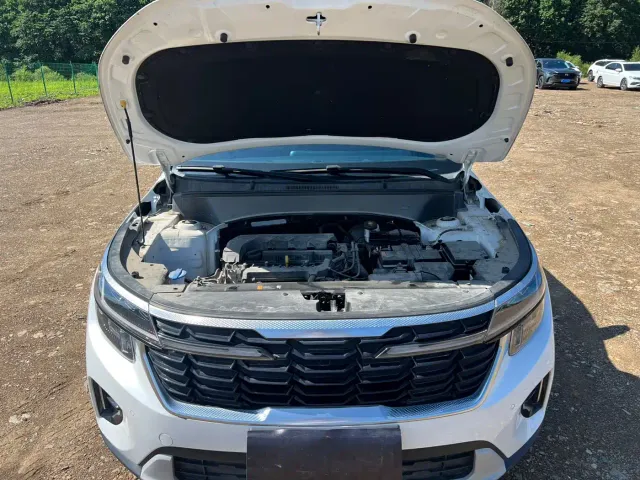 Kia Seltos — Фото автомобиля 21