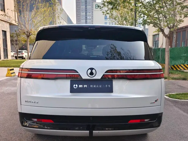 Denza N9 — Фото автомобиля 10