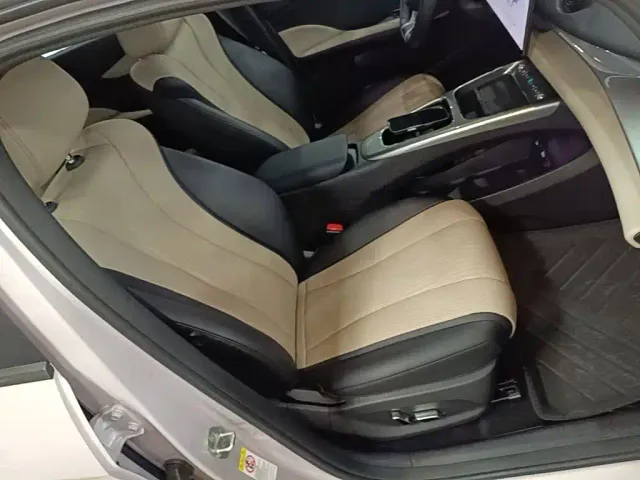 BYD Dolphin — Фото автомобиля 24