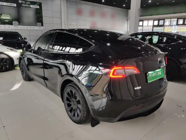 Tesla Model Y — Фото автомобиля 4