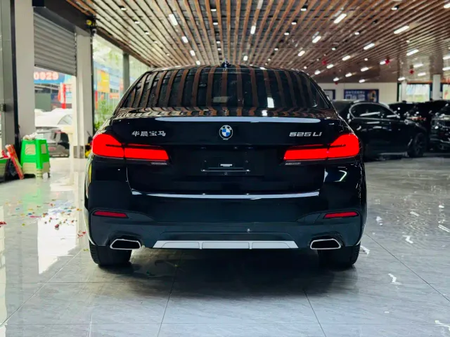 BMW 5 Series — Фото автомобиля 16