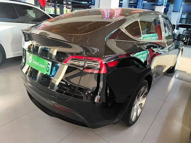 Tesla Model Y — Фото автомобиля 6