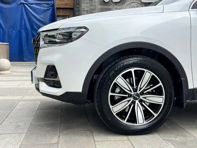 Haval H6 — Фото автомобиля 24