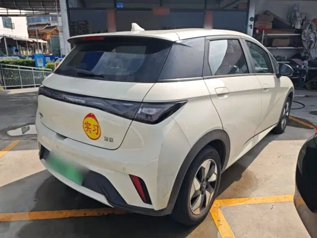 BYD Dolphin — Фото автомобиля 6