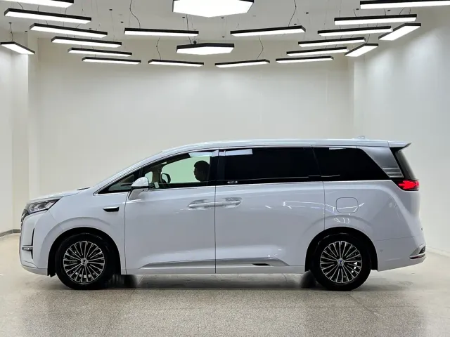 Denza D9 — Фото автомобиля 7
