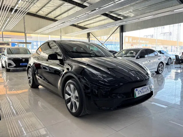 Tesla Model Y — Фото автомобиля 3