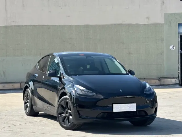 Tesla Model Y — Фото автомобиля 3