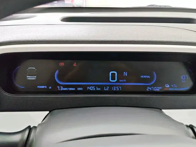 Geely Galaxy Panda 2025 Panda mini 210km Vitality Bear — Фото автомобиля 14