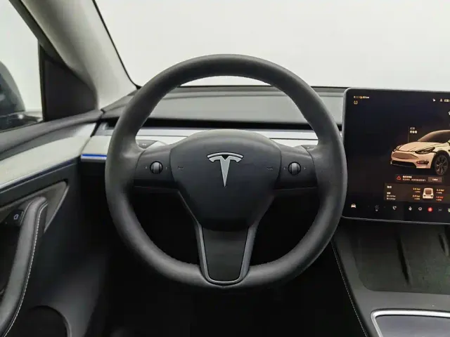 Tesla Model Y — Фото автомобиля 11