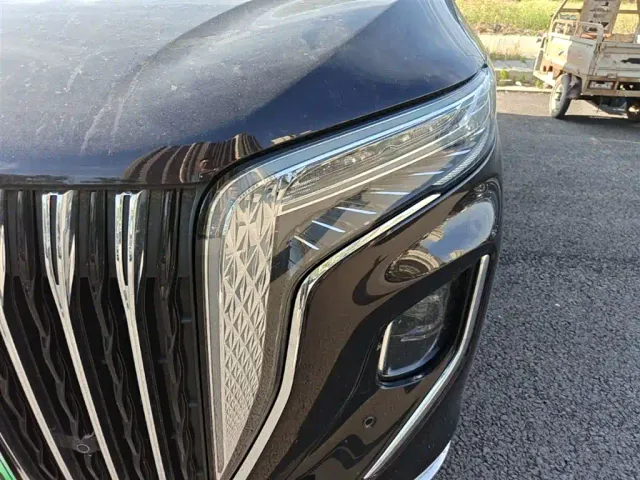 Hongqi HQ9 PHEV — Фото автомобиля 23