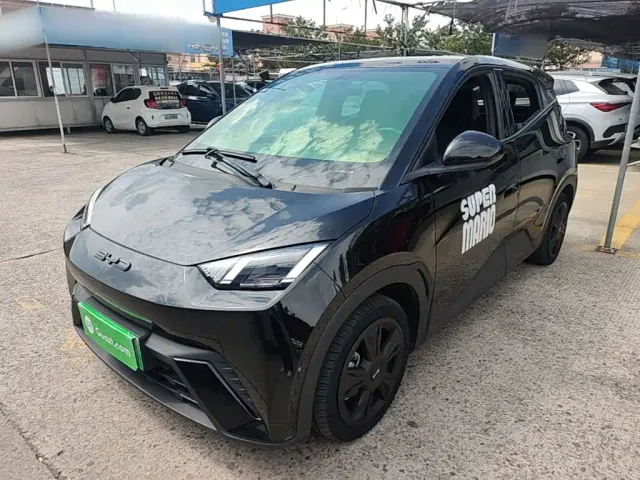 Фотография автомобиля — BYD Seagull
