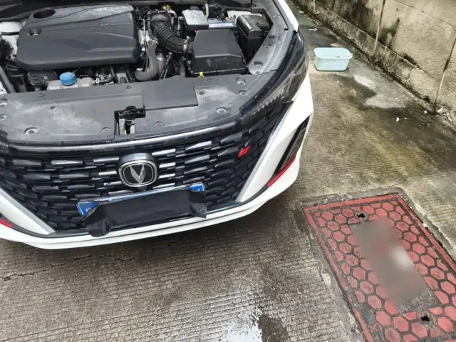 Changan Eado — Фото автомобиля 21