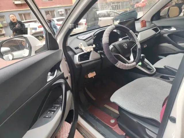 Baojun 510 — Фото автомобиля 12