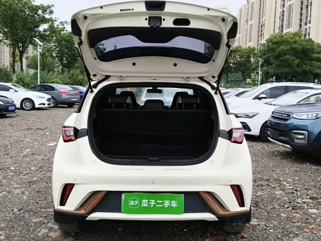 BYD Dolphin — Фото автомобиля 18