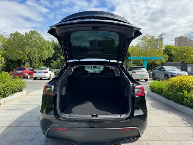 Tesla Model Y — Фото автомобиля 11