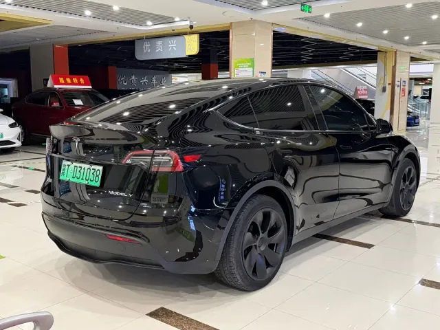 Tesla Model Y — Фото автомобиля 9