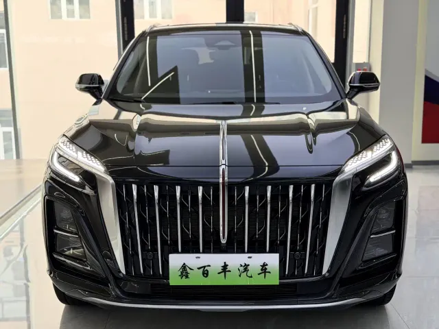 Hongqi HS3 PHEV — Фото автомобиля 2