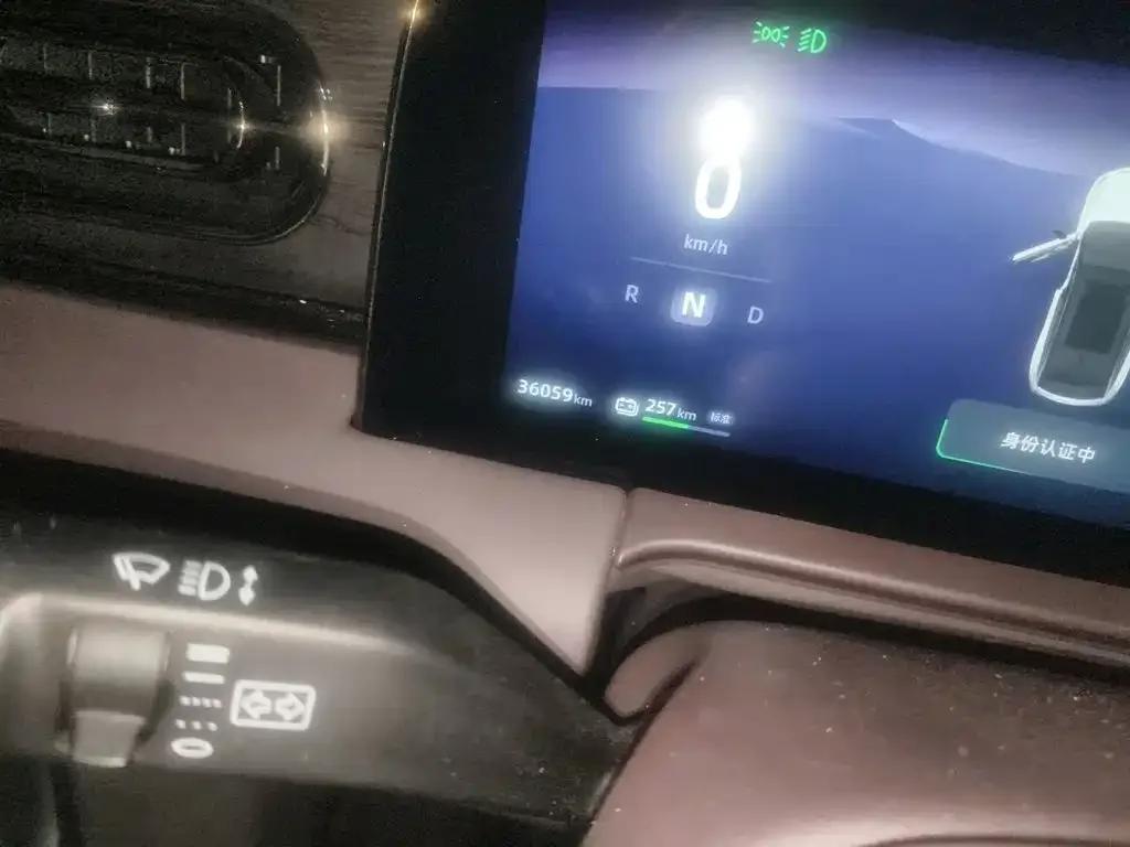 Leapmotor Leapmotor C11 2021 Facelift Luxury Edition — Фото автомобиля 8
