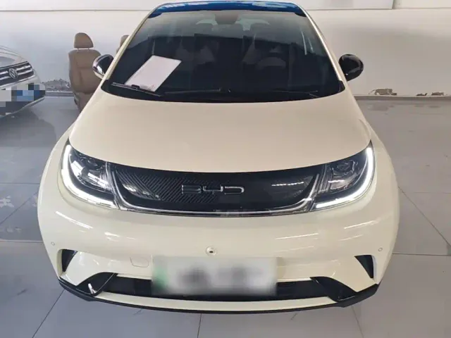 BYD Dolphin — Фото автомобиля 2
