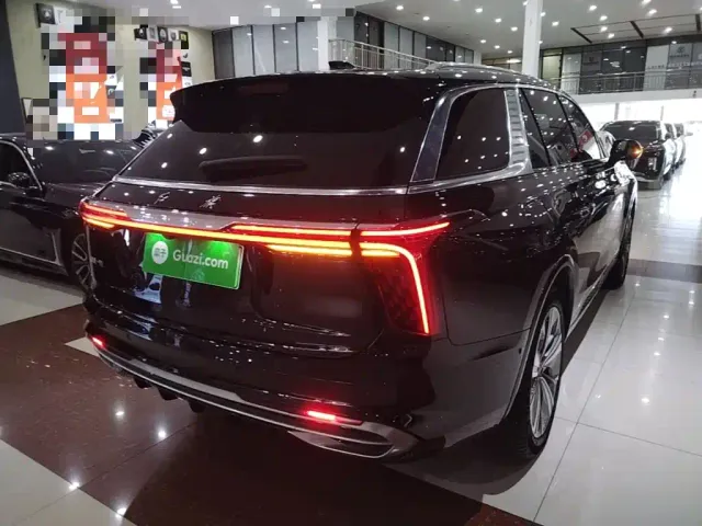 Hongqi E-HS9 — Фото автомобиля 6