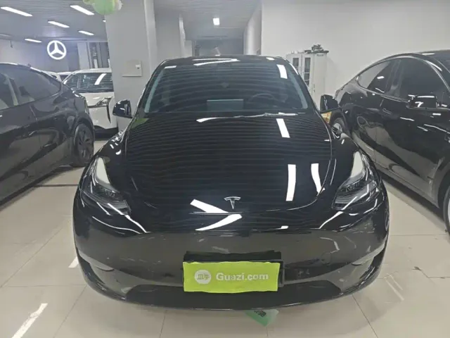 Tesla Model Y — Фото автомобиля 2