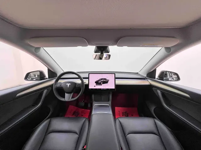 Tesla Model Y — Фото автомобиля 20
