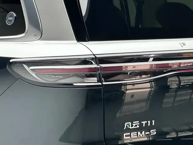 Chery Fulwin T11 — Фото автомобиля 17