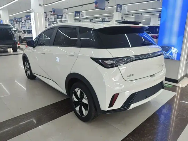 BYD Dolphin — Фото автомобиля 4