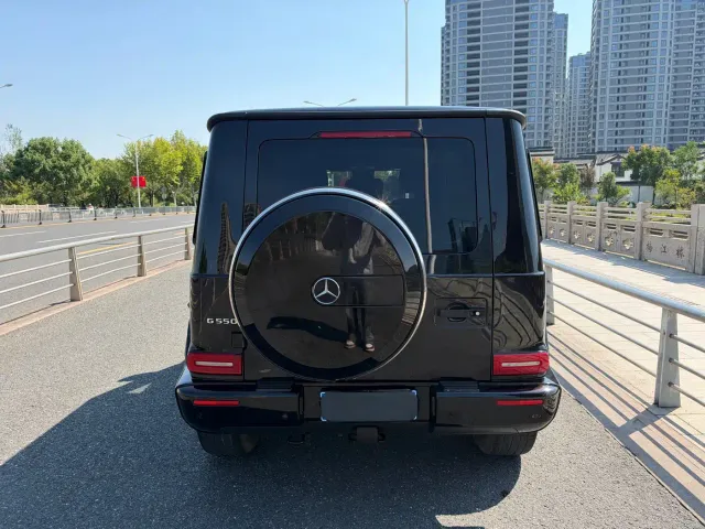 Mercedes-Benz G-Class — Фото автомобиля 22