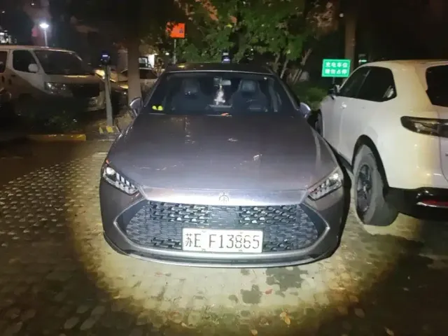 BYD Qin PLUS — Фото автомобиля 2