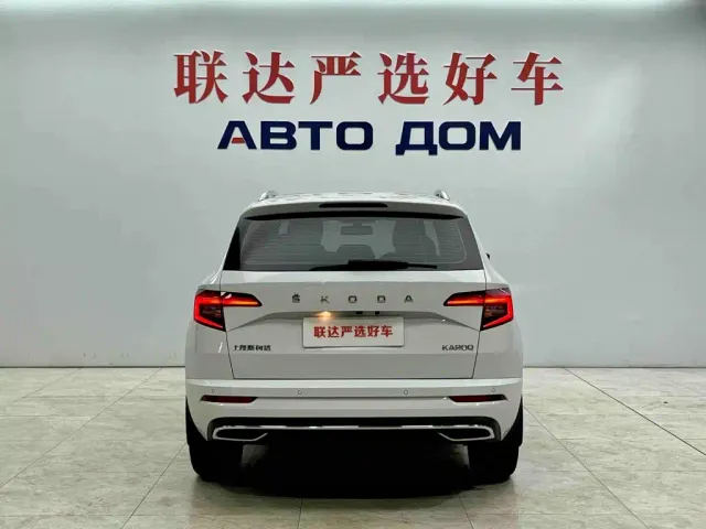Skoda Karoq — Фото автомобиля 6