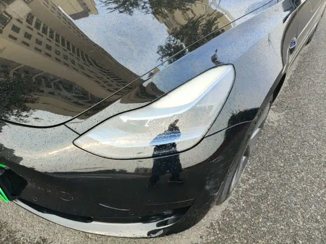 Tesla Model 3 — Фото автомобиля 23