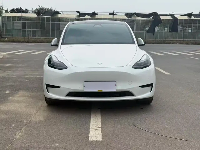 Tesla Model Y — Фото автомобиля 2