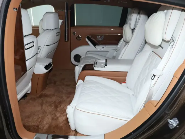 Zunjie Zunjie S800 2025 Range Extender Starlight Executive 4-Seater — Фото автомобиля 13