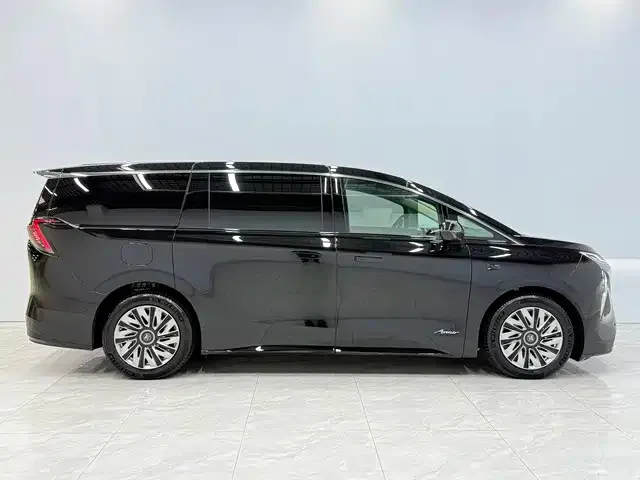 Buick Zhijing Shijia — Фото автомобиля 7