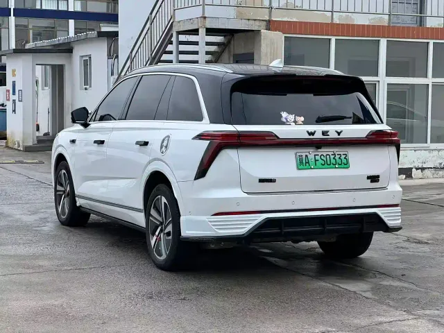 Wey Lanshan — Фото автомобиля 14