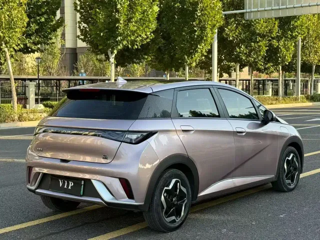 BYD Dolphin — Фото автомобиля 9