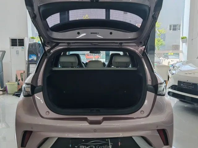 BYD Dolphin — Фото автомобиля 14