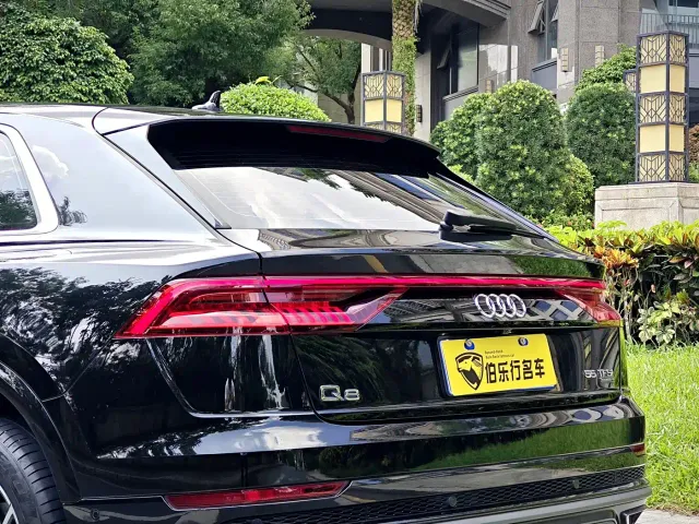 Audi Q8 — Фото автомобиля 28