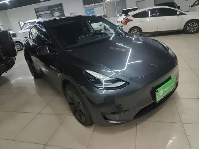 Tesla Model Y — Фото автомобиля 3