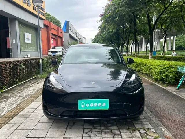 Tesla Model Y — Фото автомобиля 2