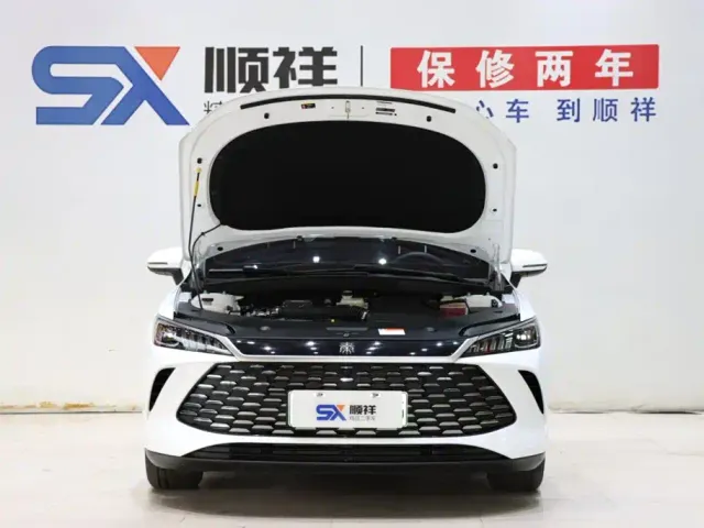 BYD Qin PLUS — Фото автомобиля 17