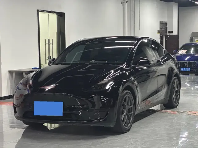Tesla Model Y — Фото автомобиля 3