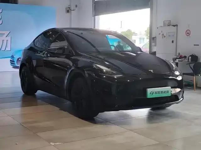 Tesla Model Y — Фото автомобиля 3
