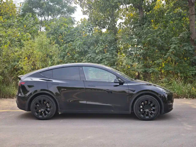 Tesla Model Y — Фото автомобиля 4