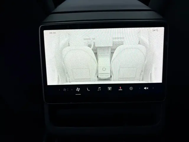 Tesla Model 3 — Фото автомобиля 9