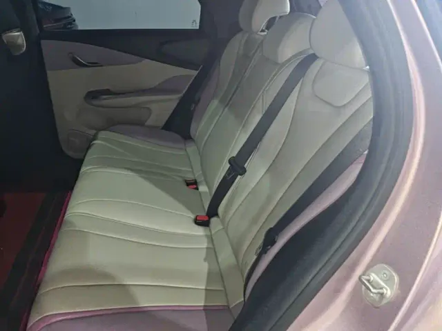 BYD Dolphin — Фото автомобиля 16