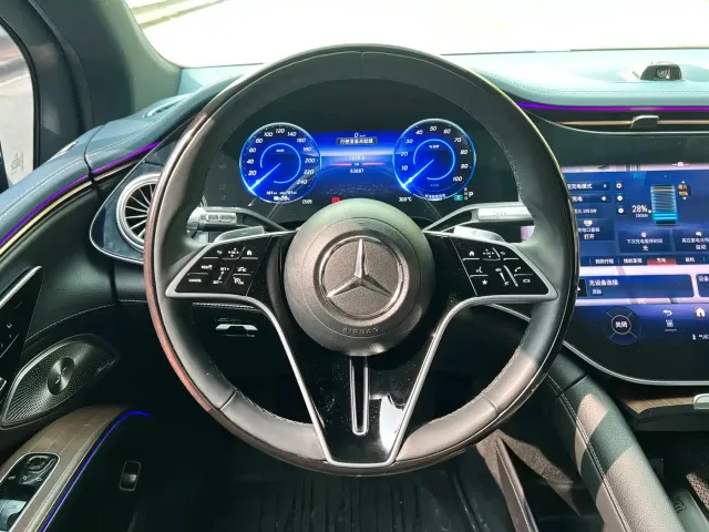 Mercedes-Benz Mercedes-Benz EQS SUV 2023 450 4MATIC Pioneer Edition — Фото автомобиля 11