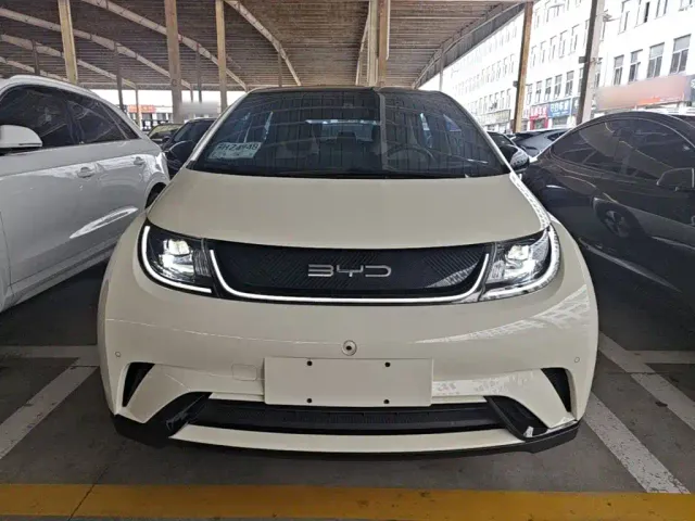 BYD Dolphin — Фото автомобиля 2